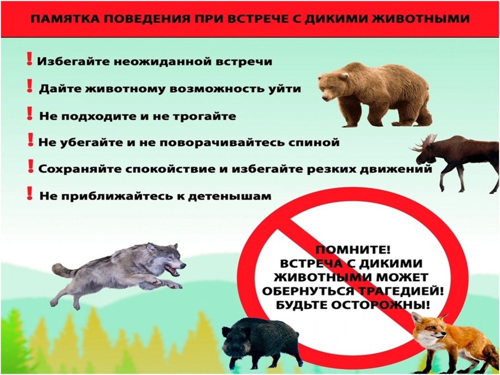 Правила поведения при встрече с дикими хищными животными.